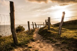 Mehr über den Artikel erfahren Der Darß